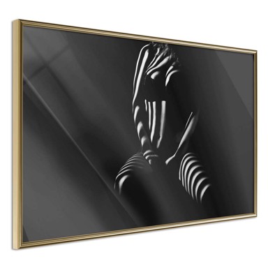 Poster Blinds Shadow 30x20