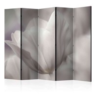 Sobna pregrada u 5 dijelova Tulip - black and white photo II 225x172
