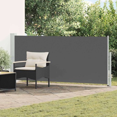 Retraktabilna bočna tenda, 170 x 300 cm, poliester, antracit