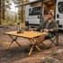 MULTIGARDEN Sklopivi kamping stol s torbom za nošenje, 90 x 60 cm