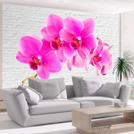 Foto tapeta Pink excitation 400x280