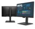 BENQ Monitor BL2490T