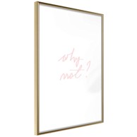 Poster Why Not? 30x45