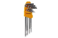 ENPRO Set Torx L-ključeva 703222 T10–T50 (9 kom), srebrna