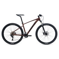 GIANT Bicikl Talon, 29 1-GE Hematite