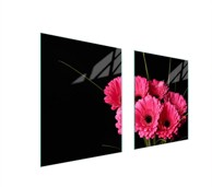 TMK Staklena zaštita za štednjak ili ploču za kuhanje 85x52, gerbera