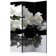 Sobna pregrada u 3 dijela Spa Stones and Orchid 135x172