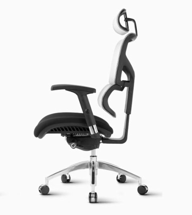 ERGOVISION Ergonomski uredski stolac SMART 04, siva leđa/crno sjedalo