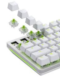 GLORIOUS Switch za tipkovnicu Raptor Lubed, 36 komada