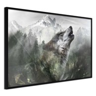 Poster Wolf's Territory 60x40