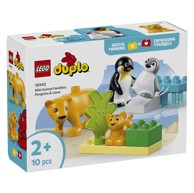 LEGO Duplo Obitelji divljih životinja: pingvini i lavovi 10442