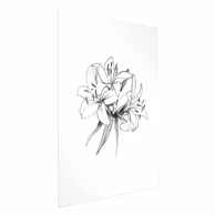 Plakat Drawn Flowers, 21x30 cm