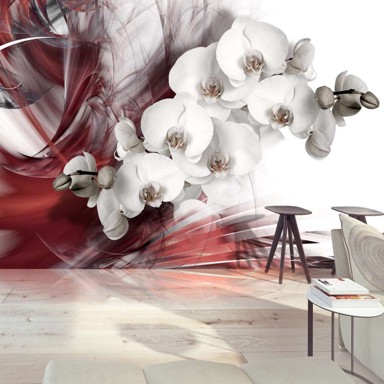 Foto tapeta Orchid in red 300x210