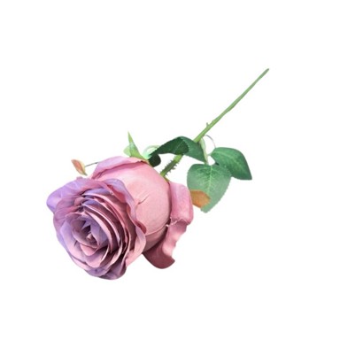 Rezano cvijeće Ruža 49 cm, ljubičasta