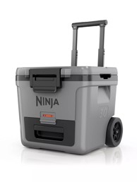 PHILIPS Hladnjak FrostVault Ninja 28 L FB230EUGY