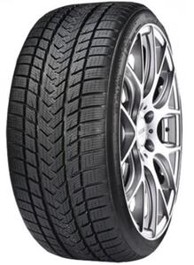 GRIPMAX Zimska guma 205/65R17 100V XL Pro Winter