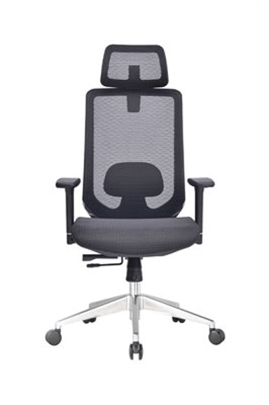ERGOVISION Ergonomska uredska stolica Erg Pro 02, crna