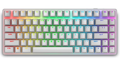 DELL Mehanička tipkovnica Alienware Pro Wireless, bežična, TKL, US (QUERTY), Lunar Light