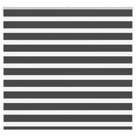 Zavjesa zebra crna 160x100 cm širina tkanine 155,9 cm poliester