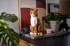 LEGO Set IDEAS 21376 ORANGE CAT