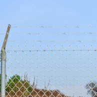 Bodljikava žica, 100 m, čelik, pocinčana, srebrna