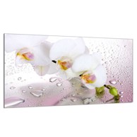 TMK Staklena zaštita za štednjak 90x52 Orchidea
