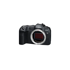 CANON Mirrorless fotoaparat EOS R8, crni
