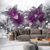 Foto tapeta Secret of the Lily 300x210