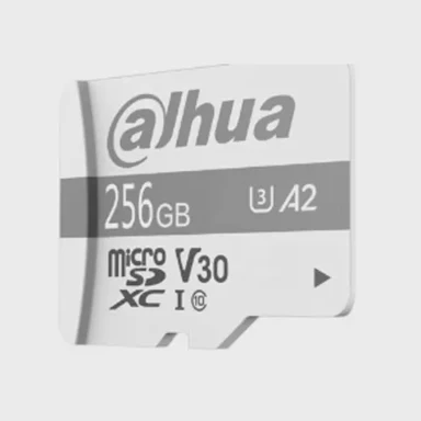DAHUA Memorijska kartica microSDXC P100, 256GB, UHS-I, Class 10