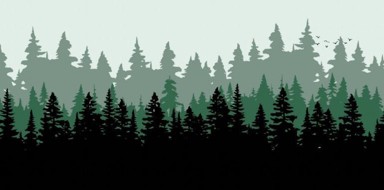 GEMBIRD Podloga za miša MP-PL-FOREST-XL-01 Forest, 400 x 800 mm