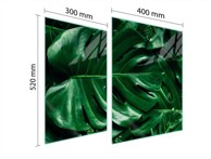 TMK Staklena zaštita za štednjak ili ploču za kuhanje 70x52, monstera