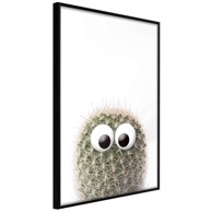 Poster Funny Cactus II 20x30