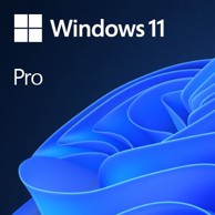 MICROSOFT Software Windows 11 DSP PRO CRO 64-BIT, FQC-10524