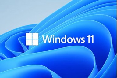 MICROSOFT Windows 11 Home, 64-bit, engleski, OEM, DVD, KW9-00632