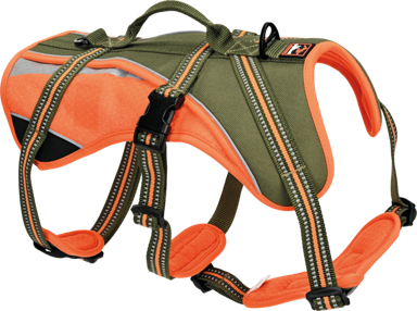 DOGS CREEK Oprsnica za pse Revolution XL, narančasta/zelena