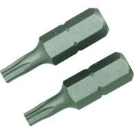 LUX TOOLS Bit za bušilicu torx-bit-kompl. TX15/2 KOM.