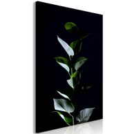 Slika In the Moonlight Vertical 40x60