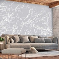 Foto tapeta White Trees 250x175