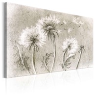 Slika Dandelions (Pencil Artwork) 90x60