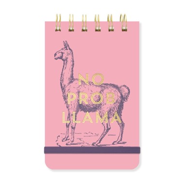 DESIGNWORKS INK A6 Bilježnica No Prob Lama 100 stranica