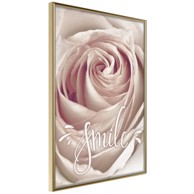 Poster Rose with a Message 40x60