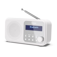 SHARP Radio DR-P420
