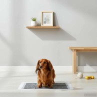 Jastučić za obuku ljubimaca, dimenzije 45 × 33 cm, jednobojni, 200 kom