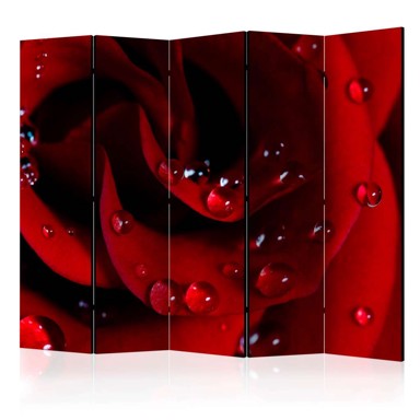 Sobna pregrada u 5 dijelova Red rose with water drops II 225x172