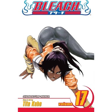 Bleach vol. 17