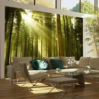 Foto tapeta Pine forest 300x231