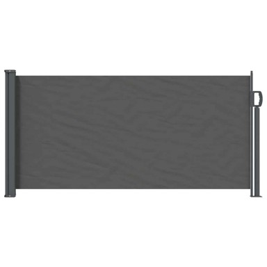 Tenda bočna retraktabilna, 300x100 cm, poliester, antracit