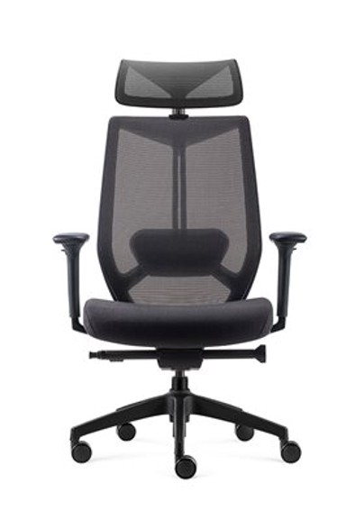 ERGOVISION Ergonomska uredska stolica Spectra, crna