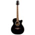 FLIGHT Akustična gitara F-230 BLK, s priborom