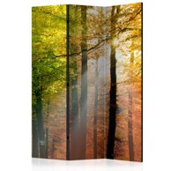 Sobna pregrada u 3 dijela Forest Colours 135x172